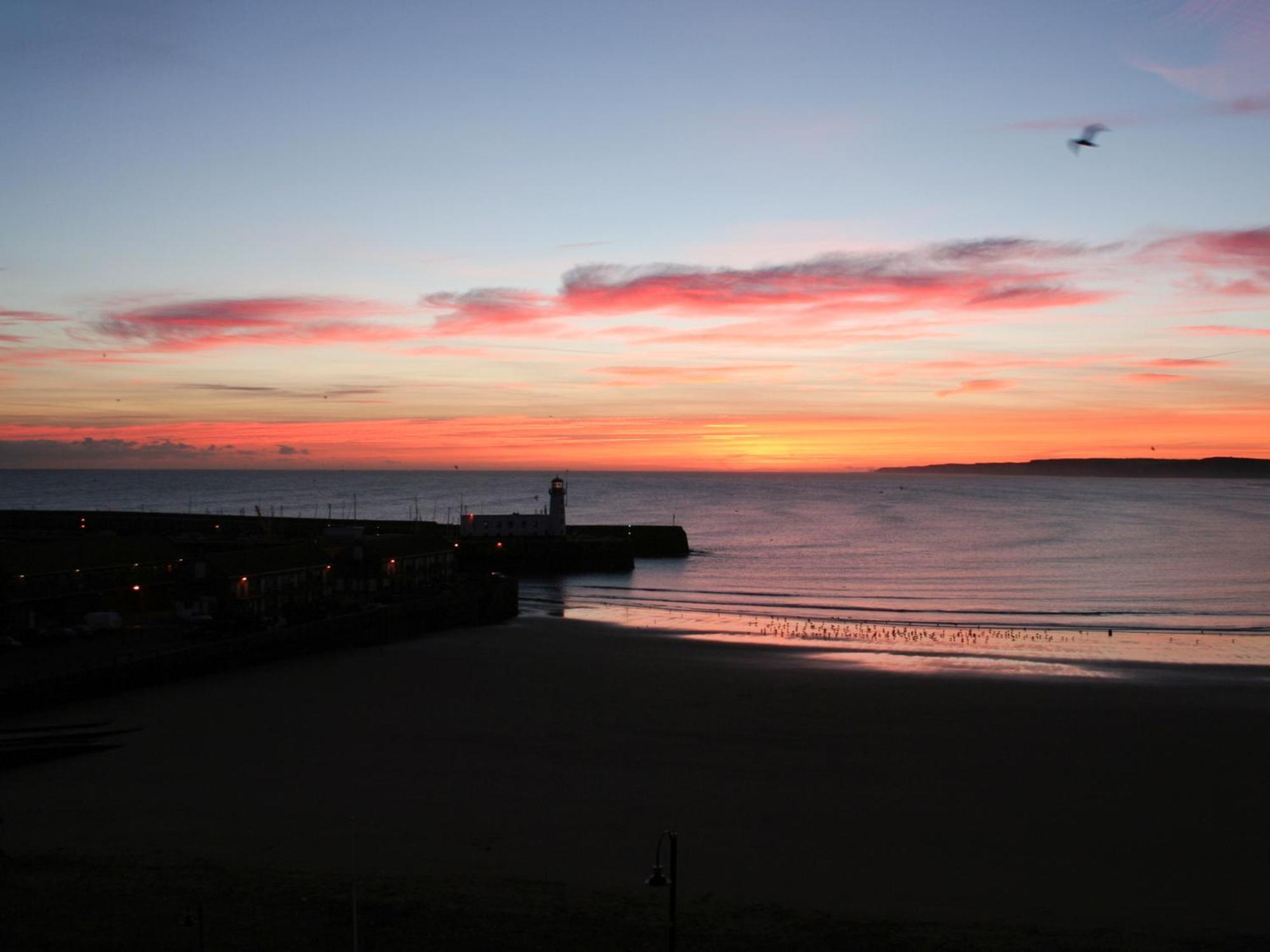 Waimea Apartments - Sea Views South Bay Scarborough Free Parking Eksteriør billede